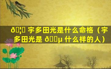 🦋 宇多田光是什么命格（宇多田光是 🐵 什么样的人）